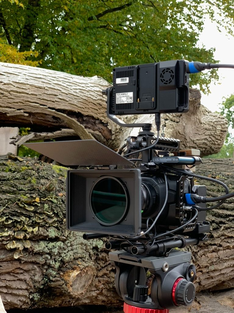Kamera-Setup vor einem mächtigen Baumstamm